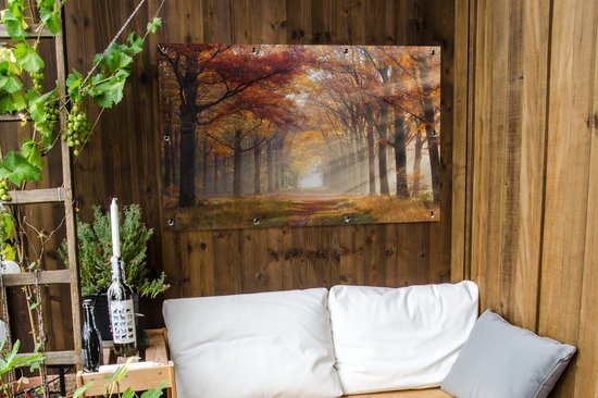 Affiche de jardin Automne - Forêt - Arbre - 120x80 cm - Jardin
