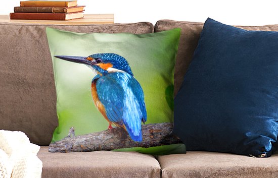 Coussins Coussins décoratifs - Oreillers Salon - 50x50 cm - Martin-pêcheur - Branche - Blauw