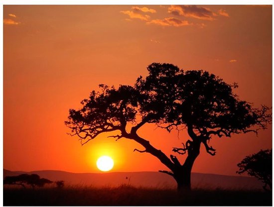 Papier peint photo - Afrique: coucher de soleil.