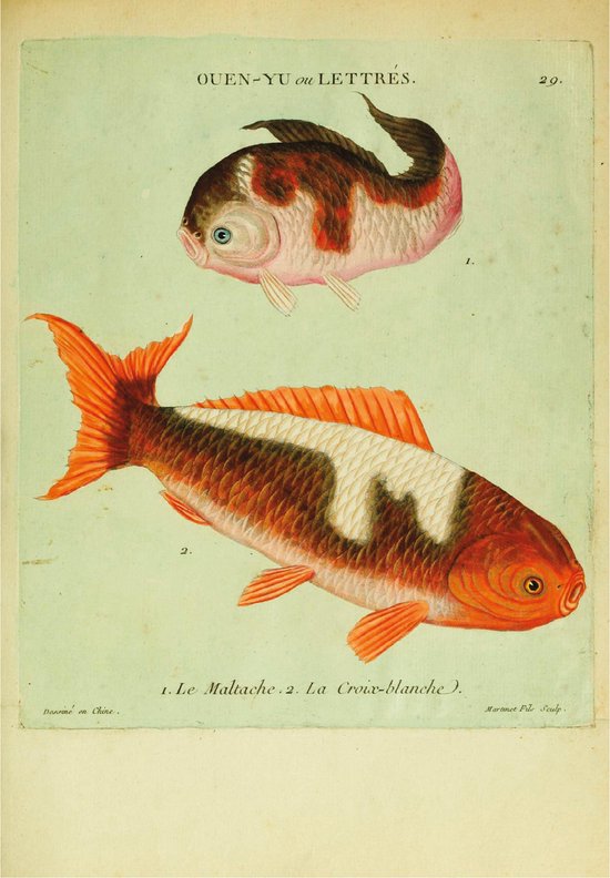 Wenskaarten set - 12 ansichtkaarten Uit: Histoire naturelle des dorades de la Chine (originele titel). Vervaardigd in 1780.