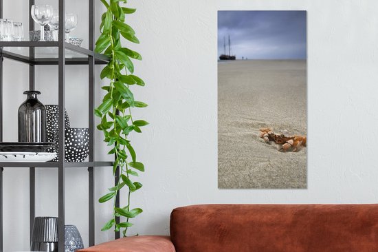 Tableau sur toile Un crabe sur la plage de Terschelling hollandais - 40x80 cm - Décoration murale
