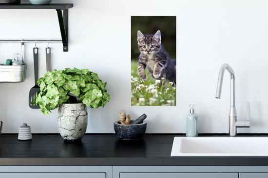 Affiche Un chaton dans un champ de trèfle - 20x40 cm