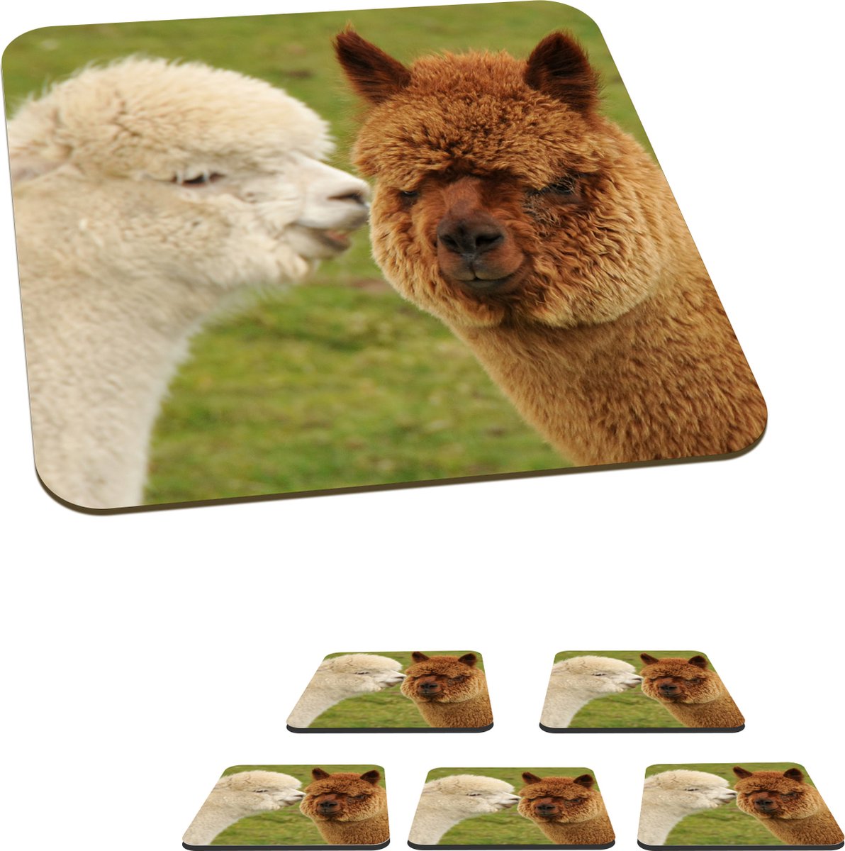 Onderzetters voor glazen - Alpaca - Samen - Gras - 10x10 cm - Glasonderzetters - 6 stuks