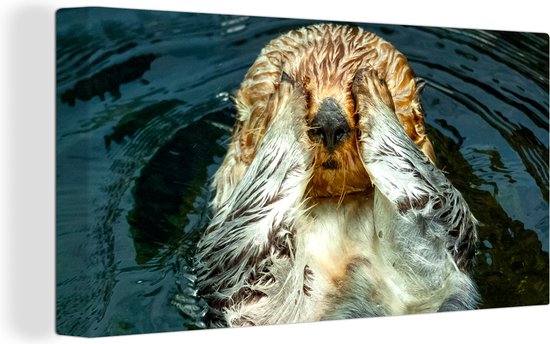 Canvas Schilderij Otter ligt in het water - Wanddecoratie