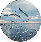 WallCircle - Wandcirkel - Muurcirkel - Vogel - Zee - Zwerm - Aluminium - Dibond - ⌀ 90 cm - Binnen en Buiten