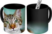 Magische Mok - Foto op Warmte Mok - Kat - Potret - Ogen - 350 ML