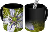 Magische Mok - Foto op Warmte Mok - Een paarsblauwe nigella plant - 350 ML