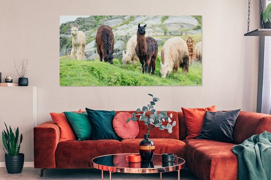 Tableau sur Toile Alpaga - Berg - Herbe - 160x80 cm - Décoration murale