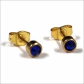 Aramat jewels ® - Goudkleurige zweerknopjes geboortesteen oorbellen blauw chirurgisch staal 4mm
