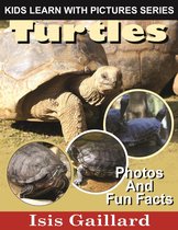 Kids Learn With Pictures 81 - Turtles Photos and Fun Facts for Kids