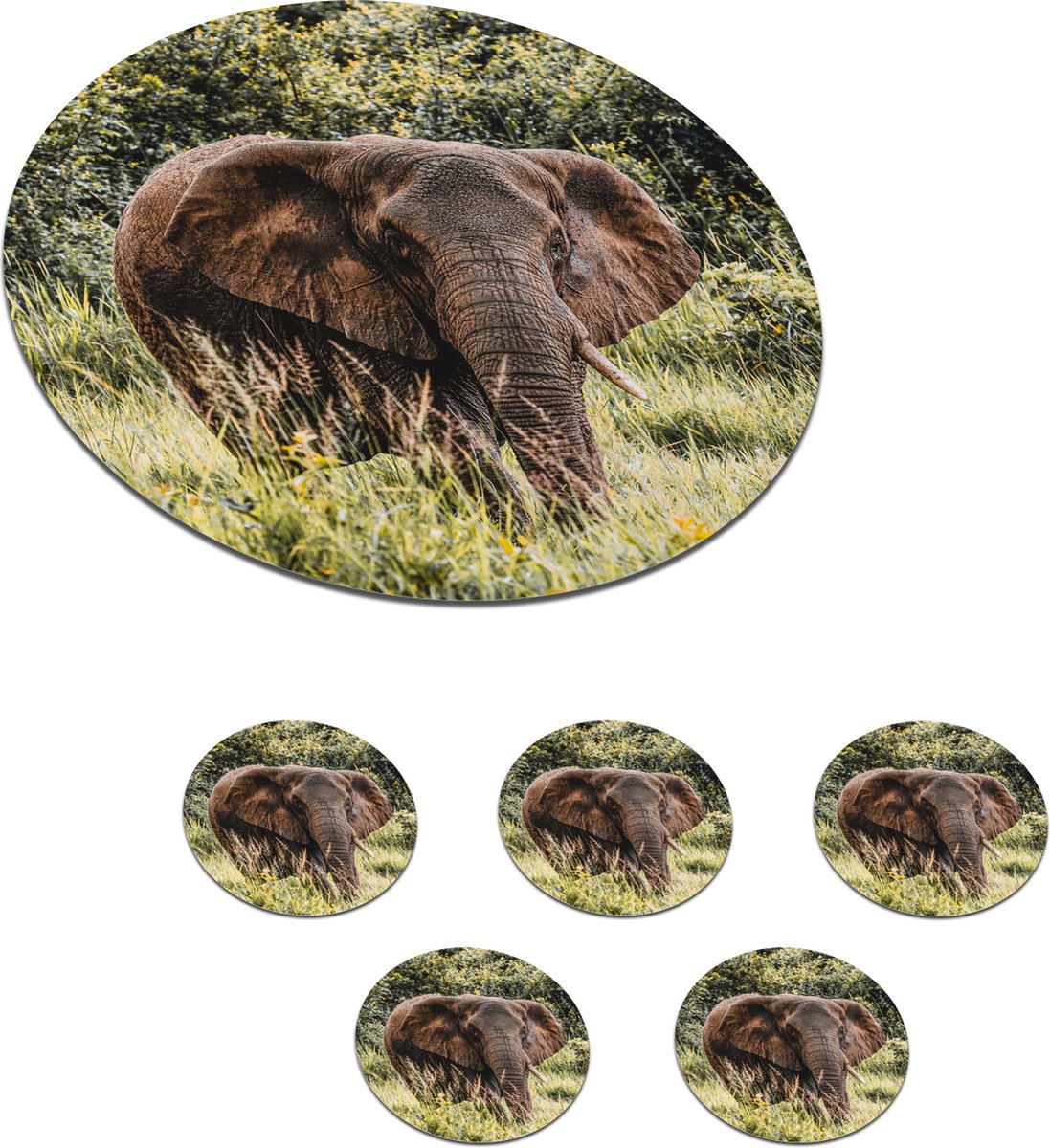 Onderzetters voor glazen - Rond - Olifant - Gras - Natuur - 10x10 cm - Glasonderzetters - 6 stuks