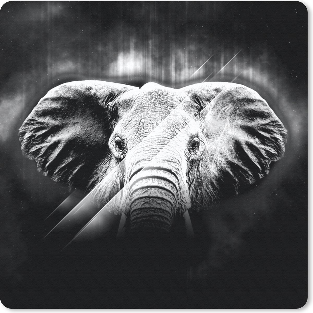 Muismat 20x20 cm - Mousepad Olifant - Lijn - Licht - Zwart - Wit - Muismatten