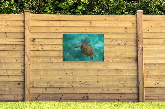 Affiche de jardin Tortue de mer au Reef d'Apo - 100x60 cm - Décoration murale Outdoor - Affiche de jardin - Toile de jardin - Affiche de clôture - Tableau de jardin
