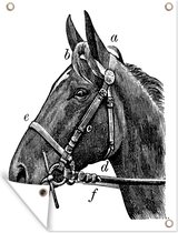 Décoration de Jardin dessin tête de cheval avec licol en noir et blanc - 30x40 cm - Toile de jardin