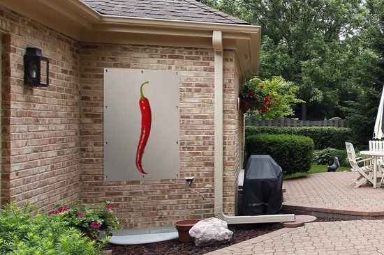 Affiche de jardin - Toile de jardin - Posters de jardin extérieur - Piment espagnol - 80x120 cm - Jardin