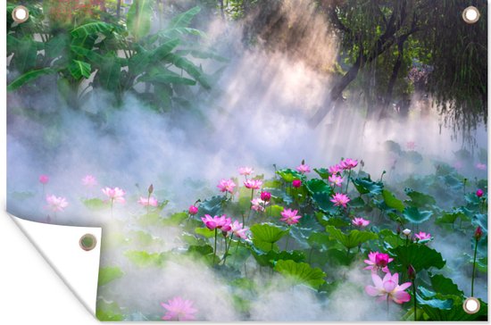 Tuindecoratie Mist tussen de lotussen bij zonsopkomst in China - 60x40 cm - Tuinposter - Tuindoek - Buitenposter