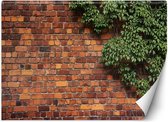 Trend24 - Behang - Bakstenen Muur Met Klimplant - Vliesbehang - Behang Woonkamer - Fotobehang - 100x70 cm - Incl. behanglijm