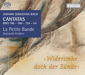 La Petite Bande; Sigiswald Kuijken - Js Bach : Cantatas For The Complete Liturgical Ye (Super Audio CD)