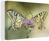 Canvas Schilderij Vlinders - Bloemen - Insecten - 30x20 cm - Wanddecoratie