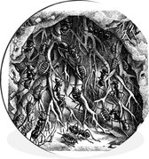 WallCircle - Wandcirkel - Muurcirkel - Botanische illustratie mierennest - Aluminium - Dibond - ⌀ 30 cm - Binnen en Buiten