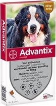 Bayer Advantix Vlooien & Teken Pipetten - Hond 40+ kg - 4 stuks