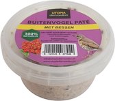 Utopia vogelpate met bessen