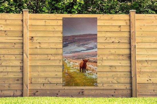 Affiche de clôture Highlander écossais - Nature - Veau - 100x200 cm - Toile de jardin