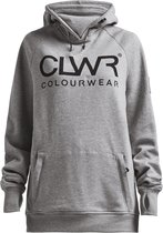 ColourWear Bowl Hood 2.0 W - Snowboard Hoodie - Dames - Grijs - Maat M