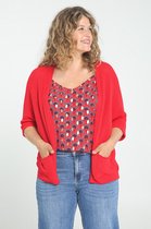 Paprika Dames Ruime cardigan - Trui - Maat 48