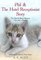 Phil & The Hotel Receptionist Story “The Special Bond between Cats and a Human” Inspiration from A True Story