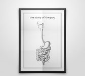 The story of the poo zwart wit poster | Het verhaal van de ontlasting | line art anatomie | wanddecoratie toilet | 21 x 30 cm