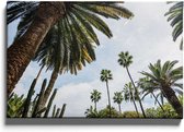Walljar - Palmbomen Onderaanzicht - Muurdecoratie - Canvas schilderij