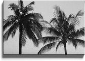 Walljar - Tropical Palms - Muurdecoratie - Canvas schilderij