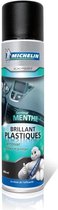 MICHELIN Expert Shiny Plastics - Mint - 400 ml