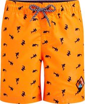 WE Fashion Jongens zwembroek met dessin
