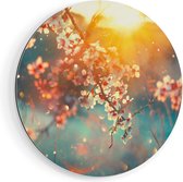 Cercle Mural Artaza Dibond - Arbre Fleuri Au Coucher Du Soleil - Bloem - Ø 90 cm - Groot - Cercle Mural - Tableau Rond - Pour Intérieur et Extérieur