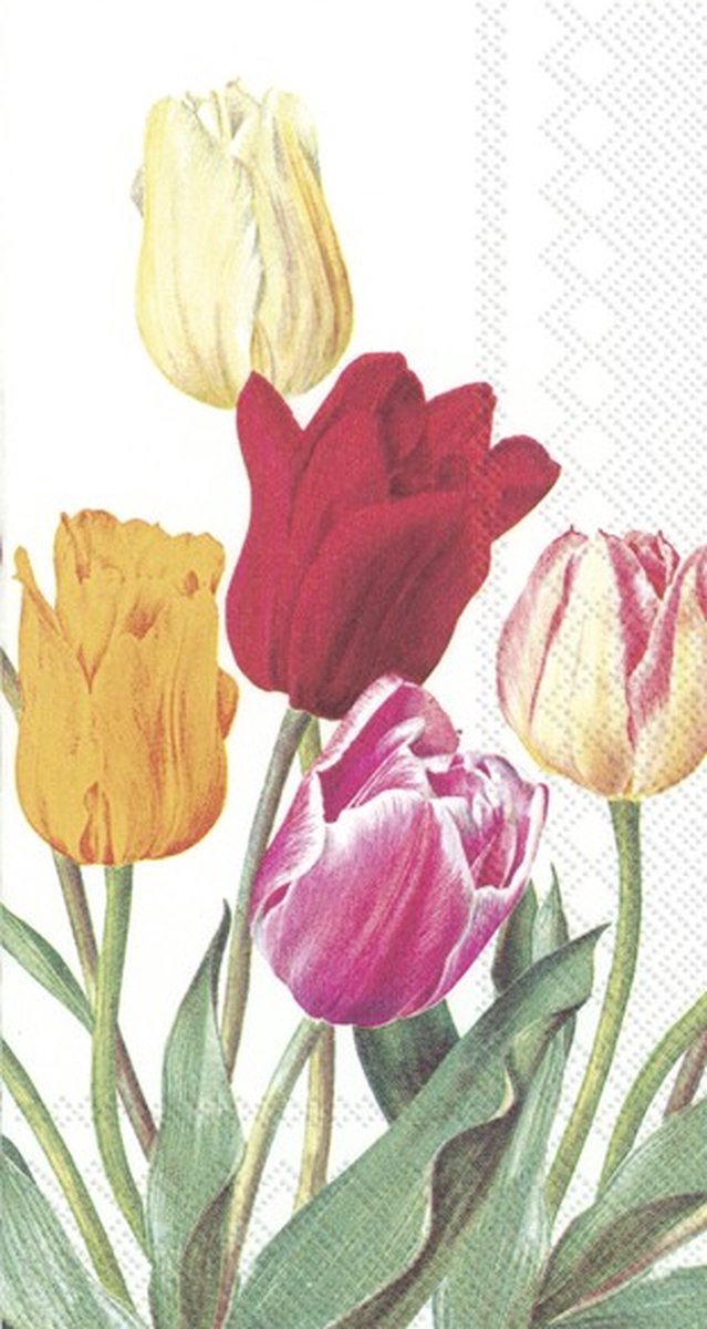 IHR - Papieren Gastendoekjes - Tulips - Tulpen