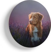 Artaza Houten Muurcirkel - Retriever Hond Tussen De Lavendel Bloemen - Ø 75 cm - Multiplex Wandcirkel - Rond Schilderij