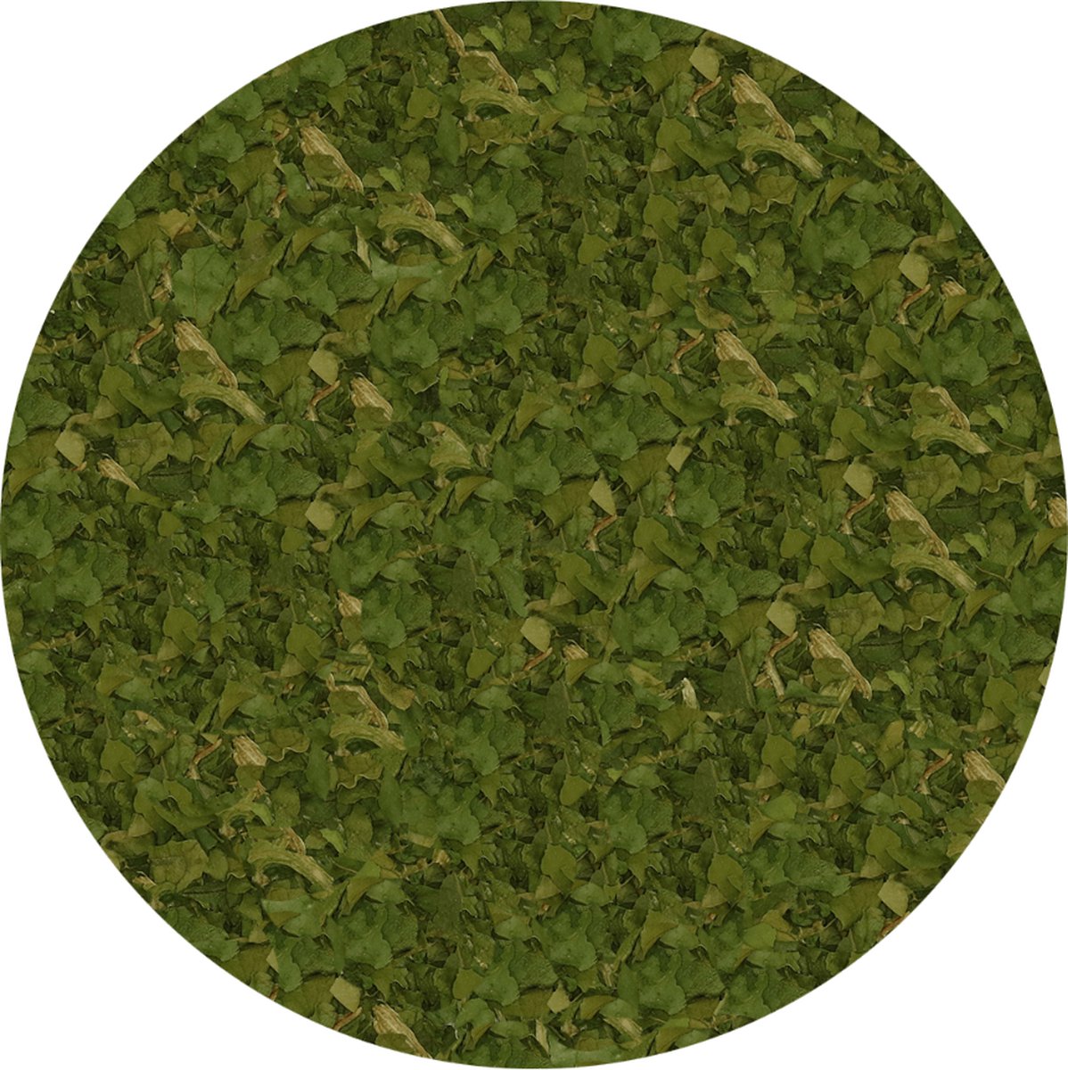 Goedkoopste Spinazie Vlokken 4-6 mm - 100 gram - Holyflavours