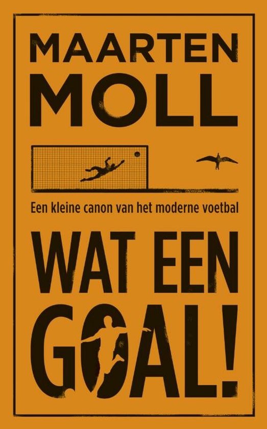 Cover van het boek 'Wat een goal!' van Maarten Moll