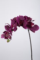 Kunstbloem - set van 2  - Autumn Phalaenopsis orchidee - decoratieve tak -  70 cm - fuchsia cerise