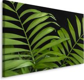 Schilderij - Tropische Bladeren, Groen, Premium Print