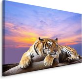 Peinture - Tigre au repos, Impression Premium , 5 tailles
