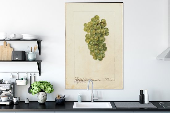 Toile Peinture Raisins Witte - peinture de Deborah Griscom Passmore - 90x140 cm - Décoration murale