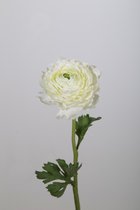 Kunstbloem - Boterbloem - Ranunculus - topkwaliteit decoratie - 2 stuks - zijden bloem - Wit - 49 cm hoog