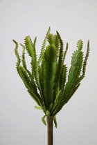 Kunstplant - Cactus - topkwaliteit decoratie - 2 stuks - zijden tak - Groen - 25 cm hoog