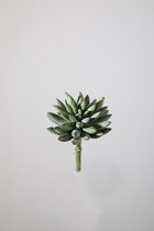 Kunstplant - Succulent - vetplant - topkwaliteit decoratie - 2 stuks - zijden tak - Groen - 18 cm hoog