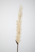 Kunsttak - gedroogde plant - pluimspirea - topkwaliteit decoratie - 2 stuks - zijden tak - Wit - 114 cm hoog