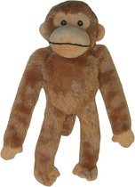 Multipet swinger chimpansee