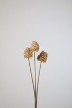 Kunsttak - Banksia - topkwaliteit decoratie - 2 stuks - zijden tak- bruin - 65 cm hoog